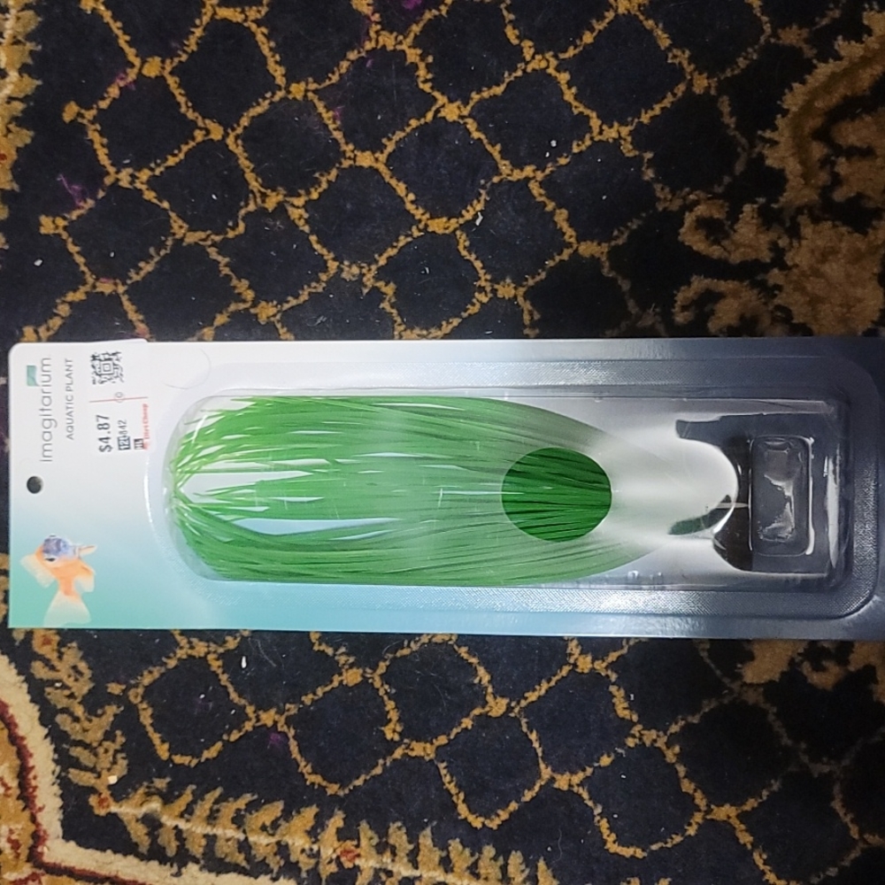 Imagitarium aquatic plant